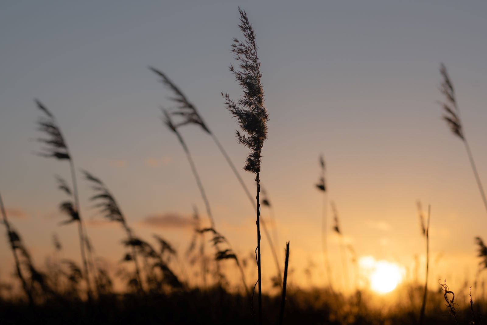 bart-de-jonge-emuEnXoYDQo-unsplash klein