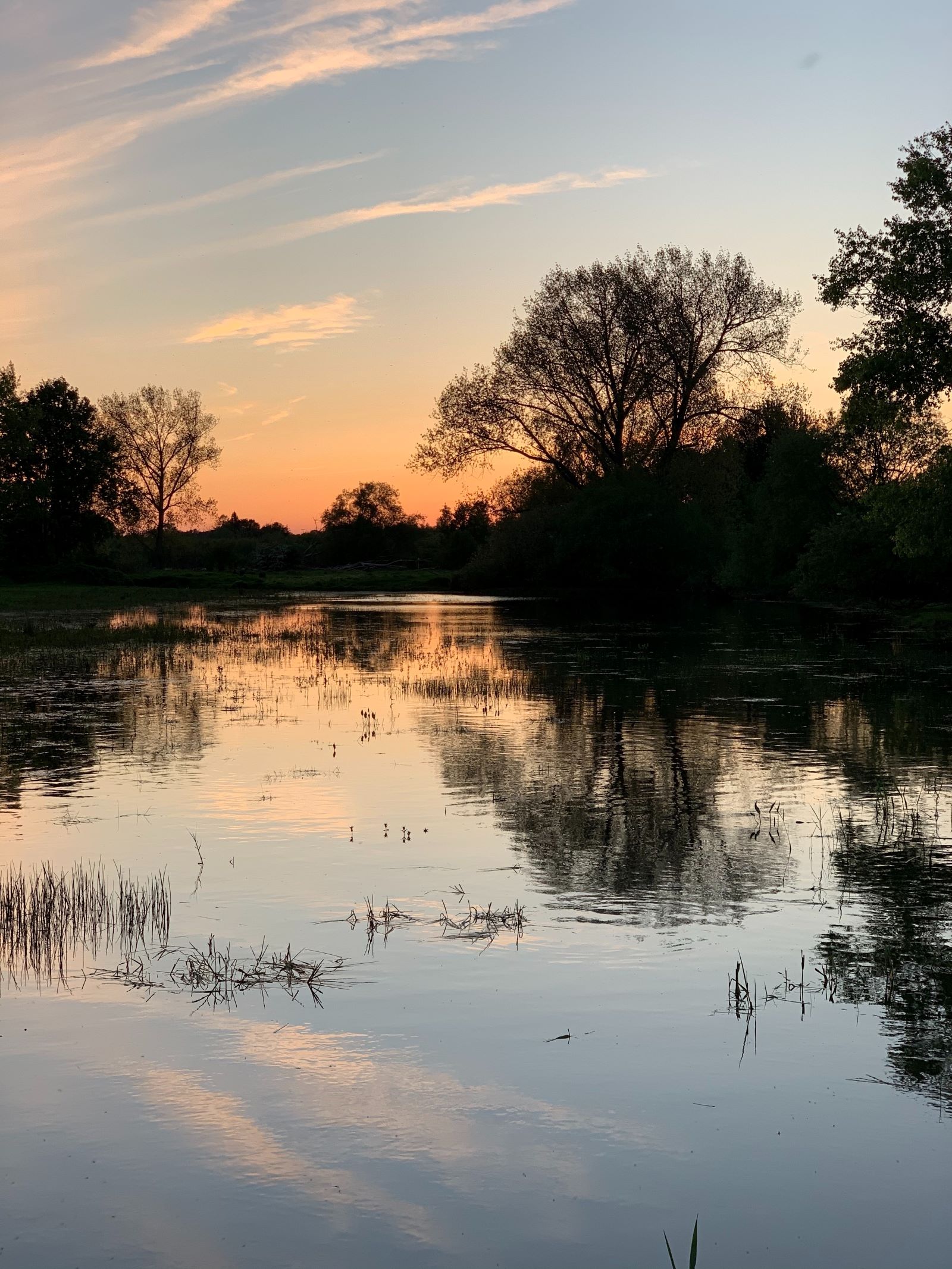 frederic-dupont-fi91GPk3-cA-unsplash klein